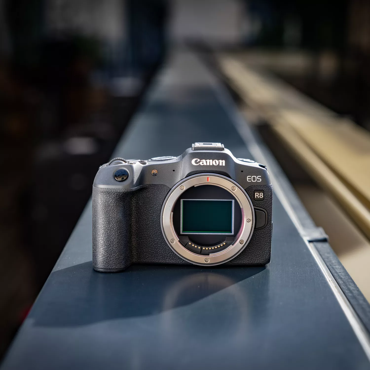 A black Canon EOS R8 camera body without a lens sits on a dark-colored railing. The camera is facing forward, with its lens mount visible and its sensor reflecting light. The background is a blurred outdoor urban scene, creating a shallow depth of field.